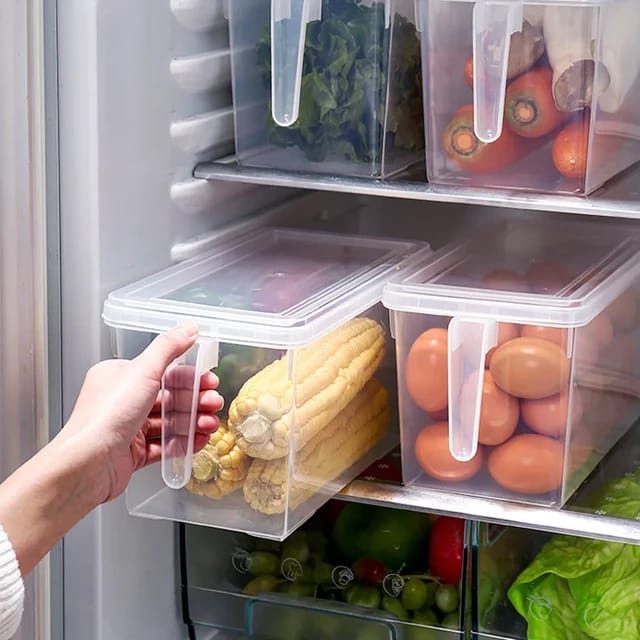 Organizador Con Tapa Transparente