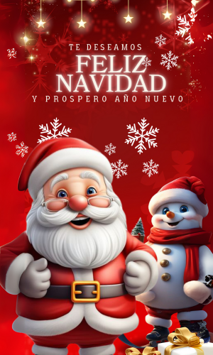 Fundas Navideñas | Ideales Para Cualquier Puerta