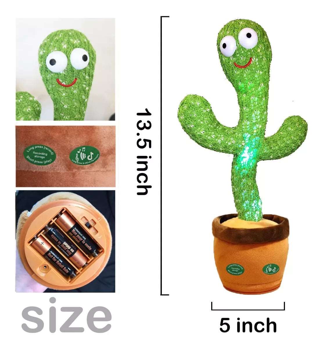 Cactus Bailarín