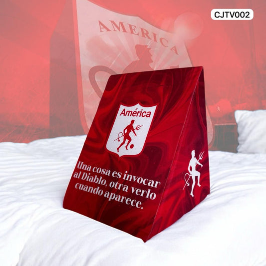 ⚽⚽⚽⚽Cojín TV con Diseños Temáticos ⚽⚽⚽⚽ 2 unidades x ¡$100 mil