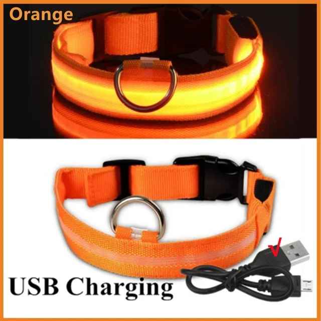 🟡 Collar para perro de nailon LED de seguridad nocturna intermitente que brilla en la oscuridad correa para perro mascota accesorios fluorescentes luminosos para perros