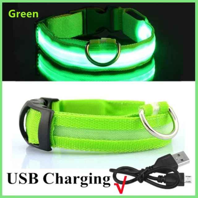 🟡 Collar para perro de nailon LED de seguridad nocturna intermitente que brilla en la oscuridad correa para perro mascota accesorios fluorescentes luminosos para perros