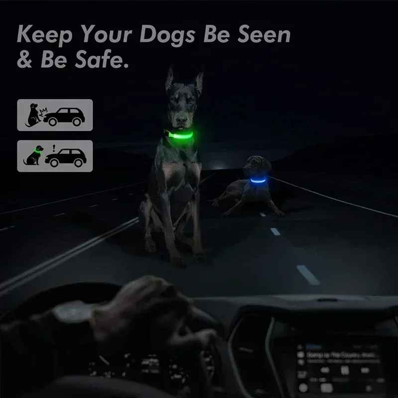 🟡 Collar para perro de nailon LED de seguridad nocturna intermitente que brilla en la oscuridad correa para perro mascota accesorios fluorescentes luminosos para perros