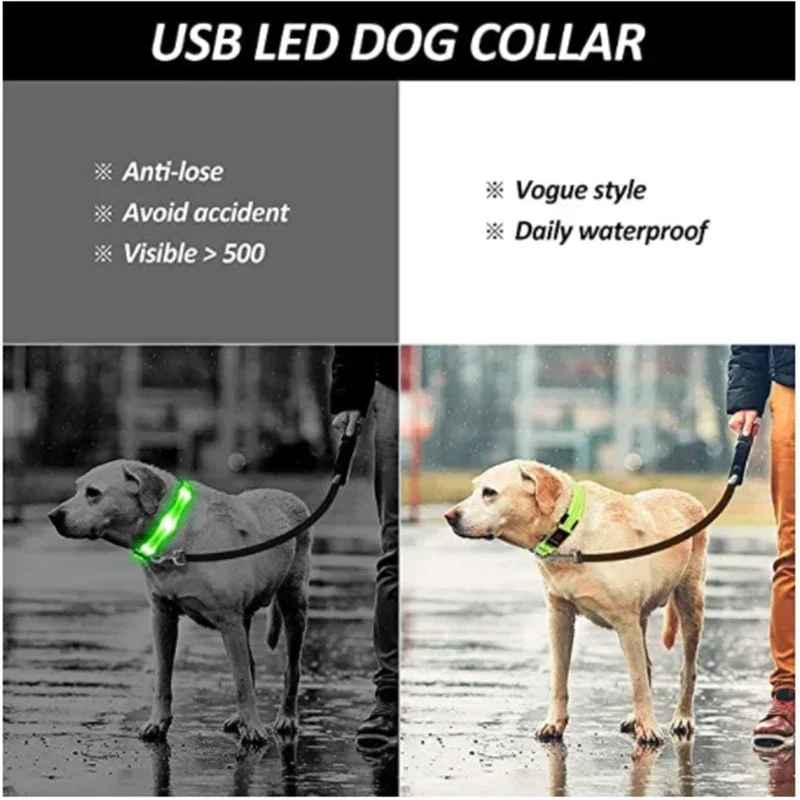 🟡 Collar para perro de nailon LED de seguridad nocturna intermitente que brilla en la oscuridad correa para perro mascota accesorios fluorescentes luminosos para perros
