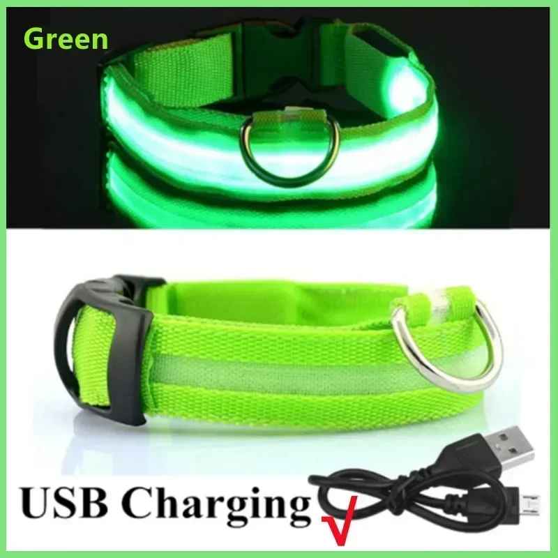 🟡 Collar para perro de nailon LED de seguridad nocturna intermitente que brilla en la oscuridad correa para perro mascota accesorios fluorescentes luminosos para perros