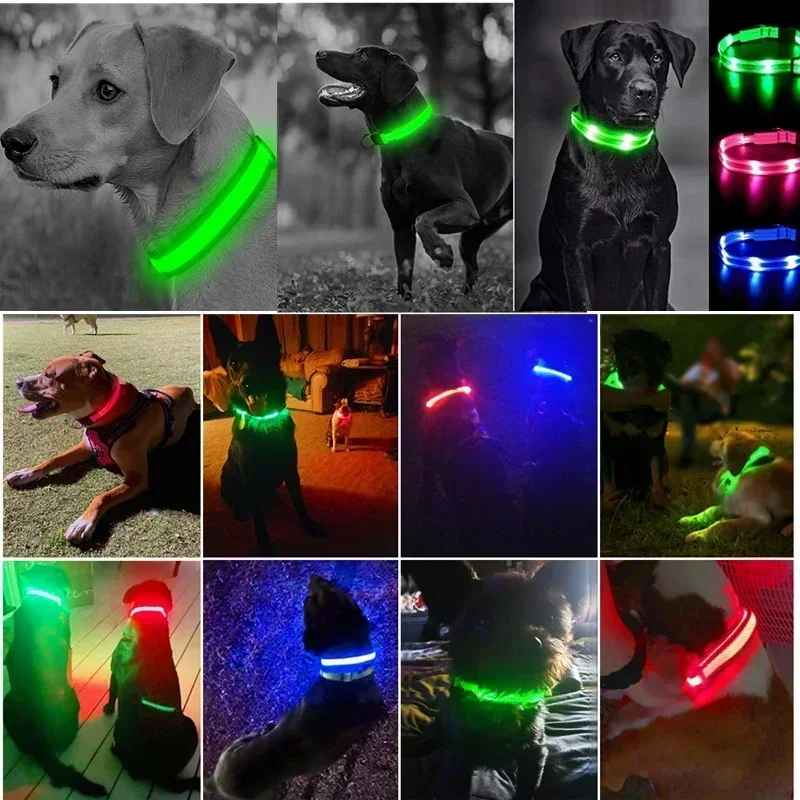 🟡 Collar para perro de nailon LED de seguridad nocturna intermitente que brilla en la oscuridad correa para perro mascota accesorios fluorescentes luminosos para perros