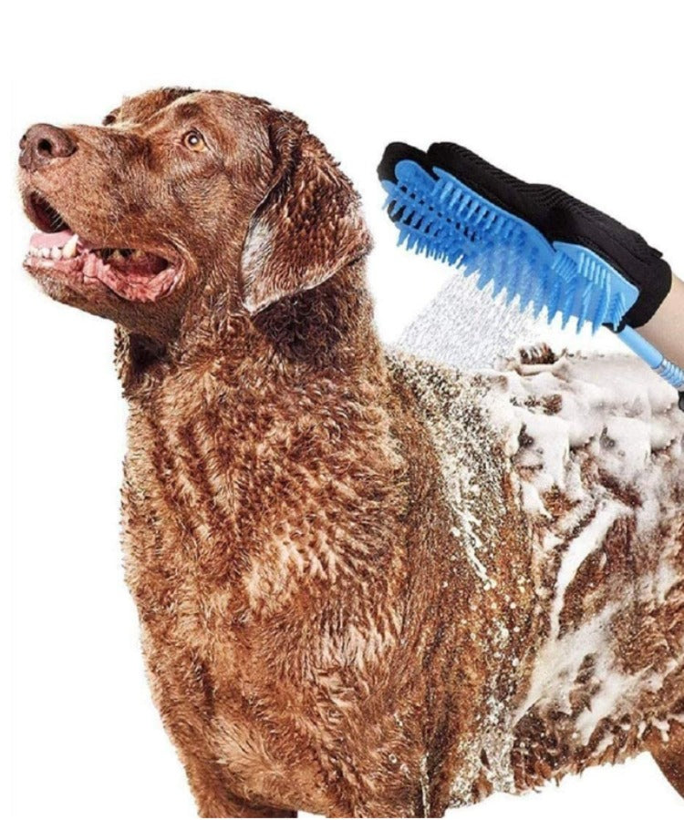 Guante más manguera para baño de mascota