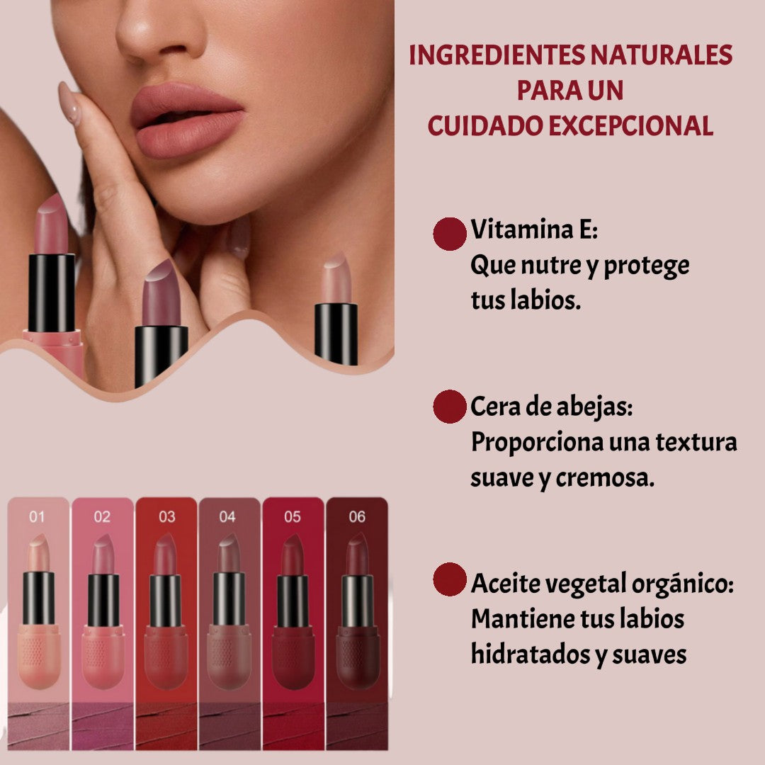 Labial Mate Larga Duración X6 unidades en bala