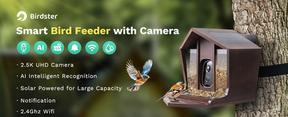 🟡 Alimentador de pájaros inteligente HD de 2,5 K, cámara WIFI con energía Solar, identificación de IA, captura automática de pájaros