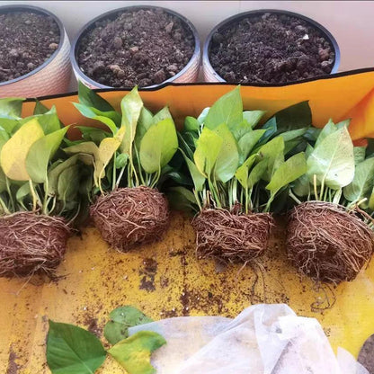 🟡 Estera de plantación plegable impermeable, estera de jardín, almohadilla para macetas, trasplante, mezcla de suelo, herramienta de poda de plantas