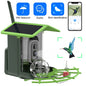 🟡 Cámara alimentadora de pájaros 4MP 2K HD captura de vídeo para pájaros WiFi batería de cámara alimentada por energía Solar con Panel Solar, alertas instantáneas, observación de aves visitantes silvestres
