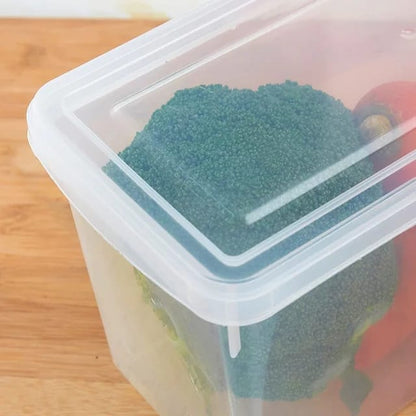 Organizador Con Tapa Transparente