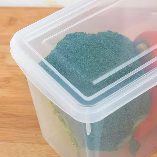 Organizador Con Tapa Transparente