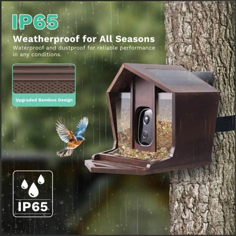 Alimentador de pájaros inteligente HD de 2,5 K, cámara WIFI con energía Solar, identificación de IA, captura automática de pájaros