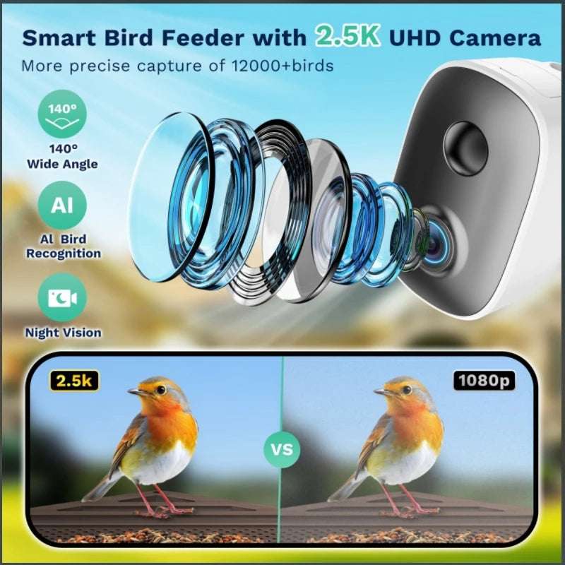Alimentador de pájaros inteligente HD de 2,5 K, cámara WIFI con energía Solar, identificación de IA, captura automática de pájaros