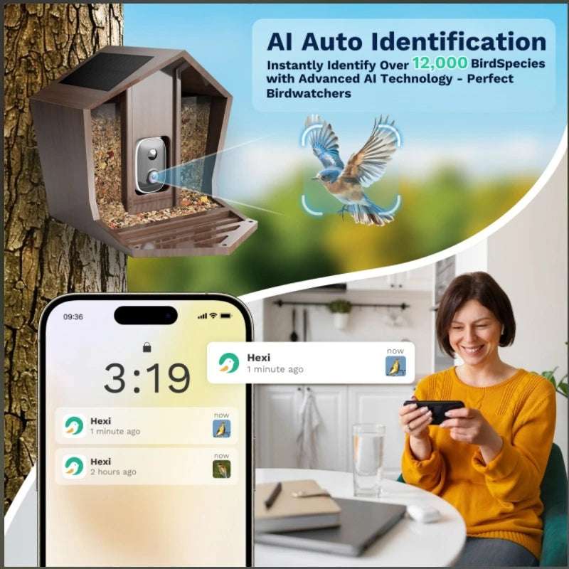 Alimentador de pájaros inteligente HD de 2,5 K, cámara WIFI con energía Solar, identificación de IA, captura automática de pájaros
