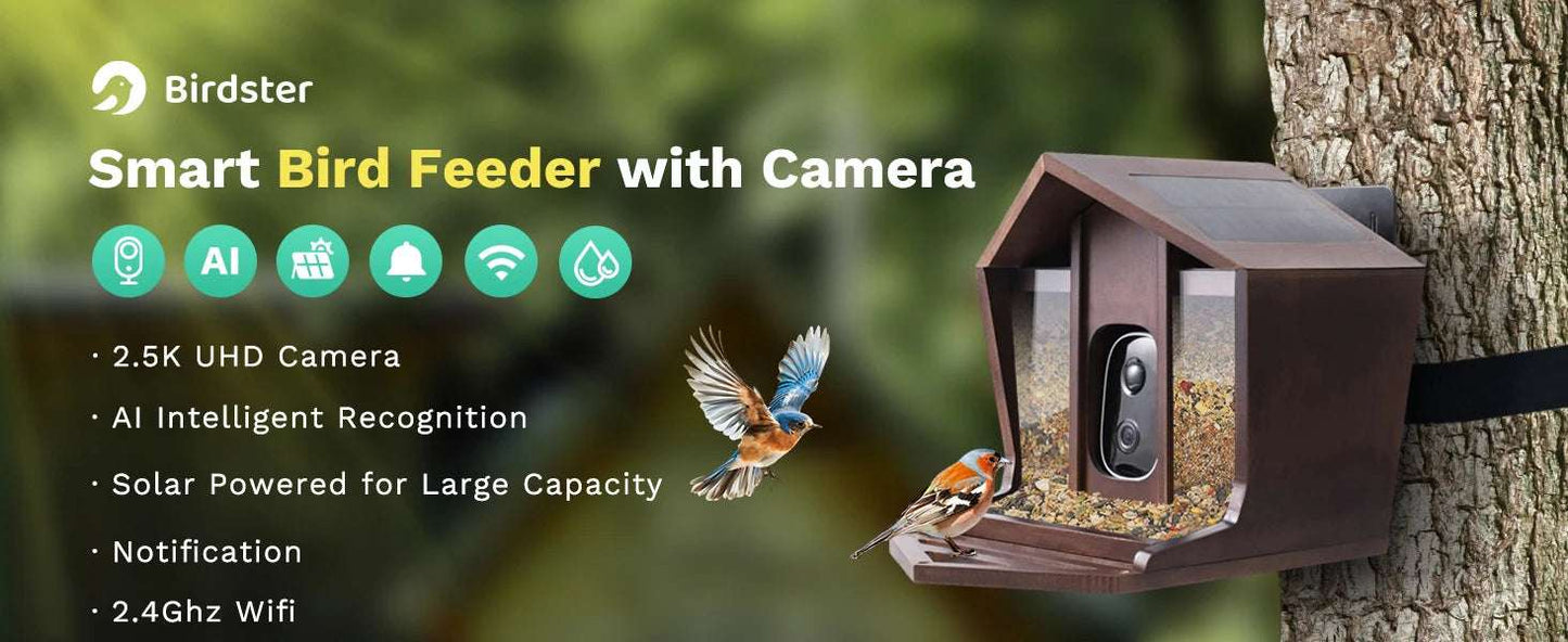 Alimentador de pájaros inteligente HD de 2,5 K, cámara WIFI con energía Solar, identificación de IA, captura automática de pájaros