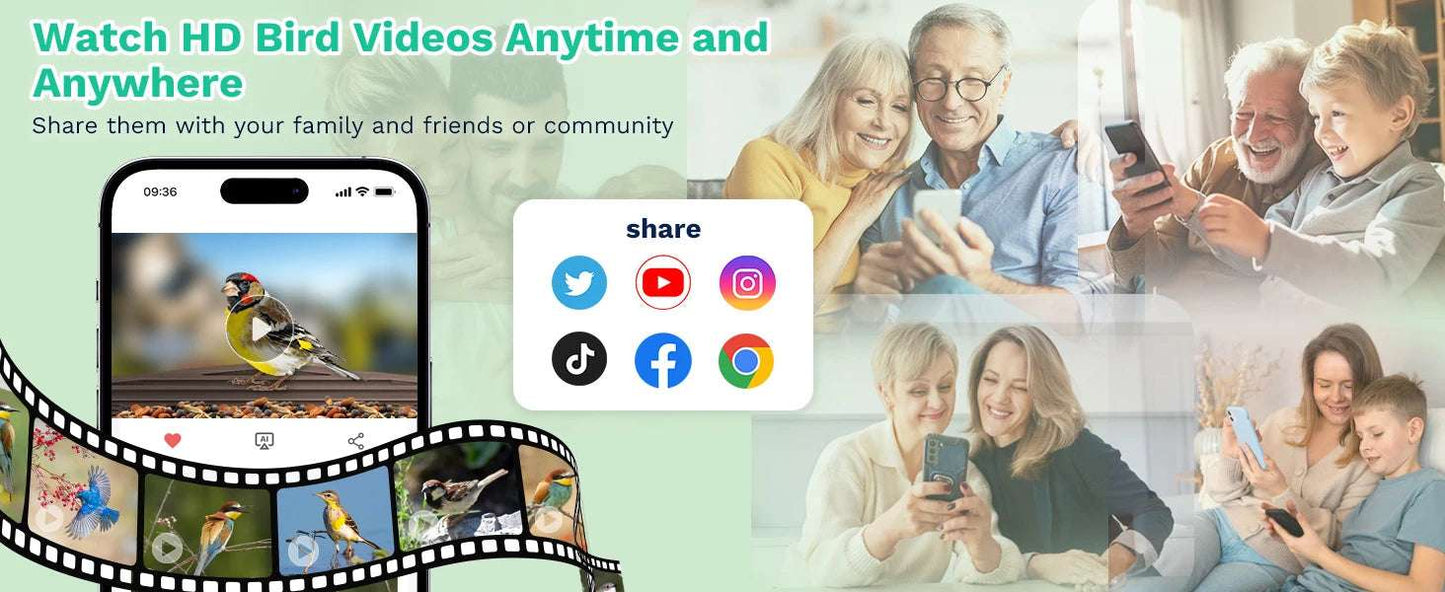 Alimentador de pájaros inteligente HD de 2,5 K, cámara WIFI con energía Solar, identificación de IA, captura automática de pájaros