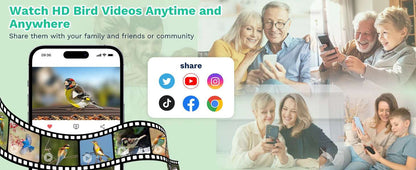 Alimentador de pájaros inteligente HD de 2,5 K, cámara WIFI con energía Solar, identificación de IA, captura automática de pájaros