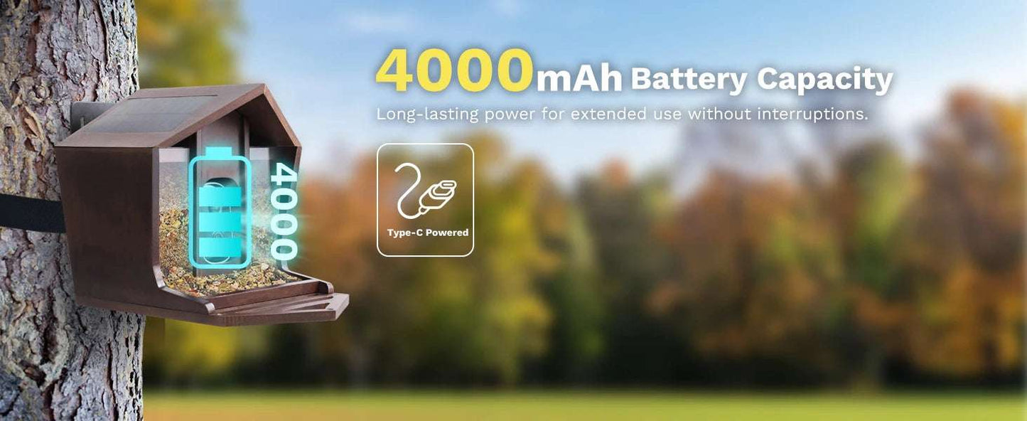 Alimentador de pájaros inteligente HD de 2,5 K, cámara WIFI con energía Solar, identificación de IA, captura automática de pájaros