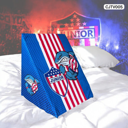 ⚽⚽⚽⚽Cojín TV con Diseños Temáticos ⚽⚽⚽⚽ 2 unidades x ¡$100 mil