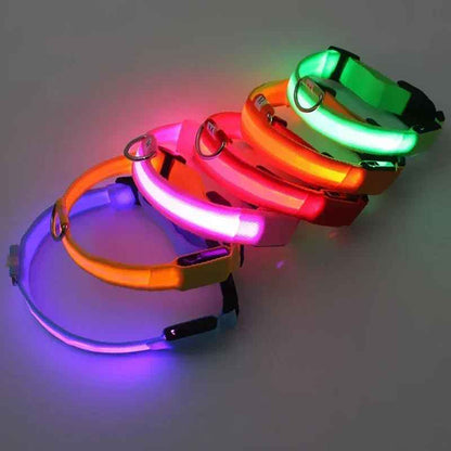 🟡 Collar Led para perro