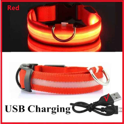 🟡 Collar para perro de nailon LED de seguridad nocturna intermitente que brilla en la oscuridad correa para perro mascota accesorios fluorescentes luminosos para perros