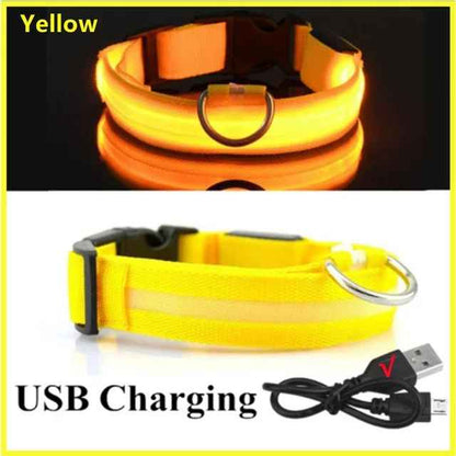 🟡 Collar para perro de nailon LED de seguridad nocturna intermitente que brilla en la oscuridad correa para perro mascota accesorios fluorescentes luminosos para perros