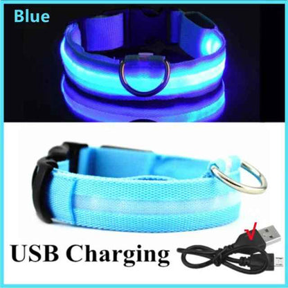 🟡 Collar para perro de nailon LED de seguridad nocturna intermitente que brilla en la oscuridad correa para perro mascota accesorios fluorescentes luminosos para perros
