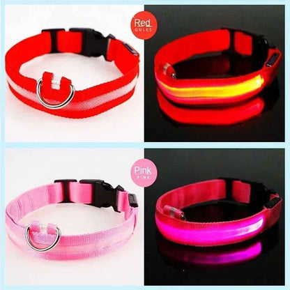 🟡 Collar para perro de nailon LED de seguridad nocturna intermitente que brilla en la oscuridad correa para perro mascota accesorios fluorescentes luminosos para perros
