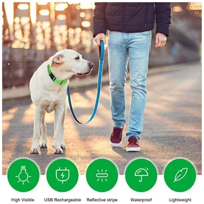 🟡 Collar para perro de nailon LED de seguridad nocturna intermitente que brilla en la oscuridad correa para perro mascota accesorios fluorescentes luminosos para perros