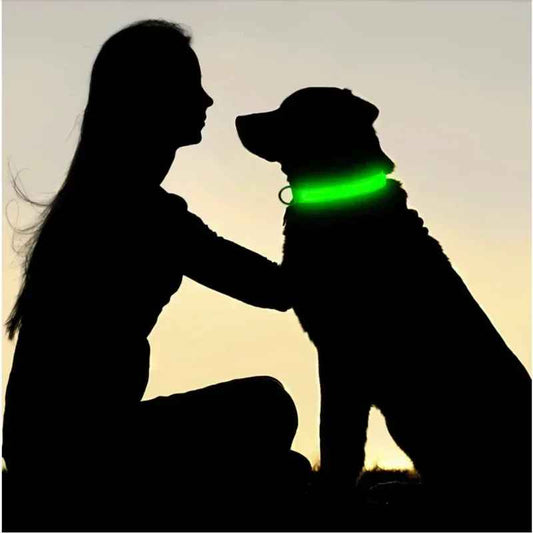 🟡 Collar para perro de nailon LED de seguridad nocturna intermitente que brilla en la oscuridad correa para perro mascota accesorios fluorescentes luminosos para perros