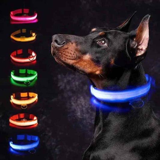 🟡 Collar para perro de nailon LED de seguridad nocturna intermitente que brilla en la oscuridad correa para perro mascota accesorios fluorescentes luminosos para perros