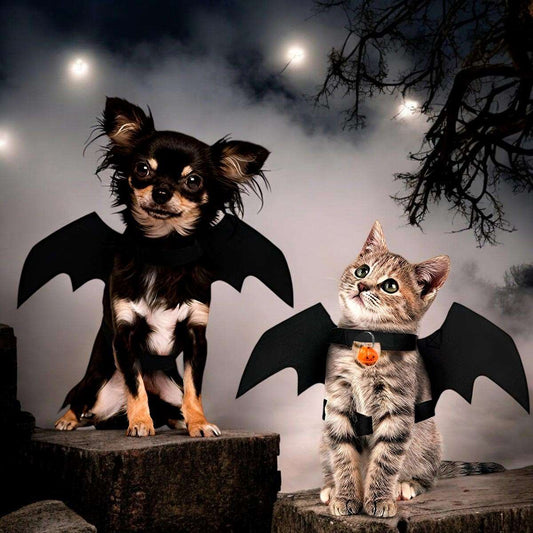 Disfraz Para Macotas De Murciélago Halloween