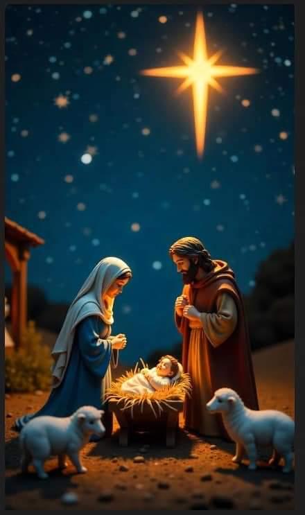 Fundas Navideñas | Ideales Para Cualquier Puerta