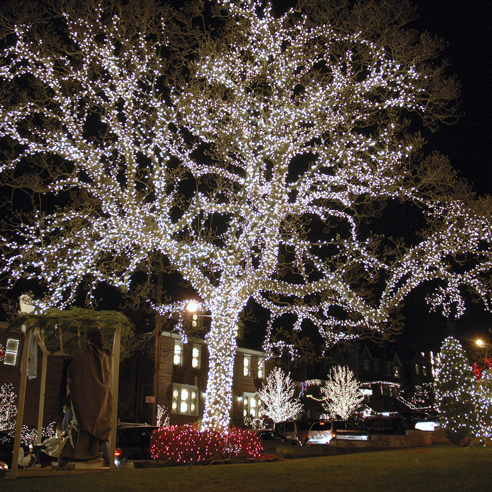 Luz Led Lineal 50 Mts 500 Led Blanca Luces Navidad