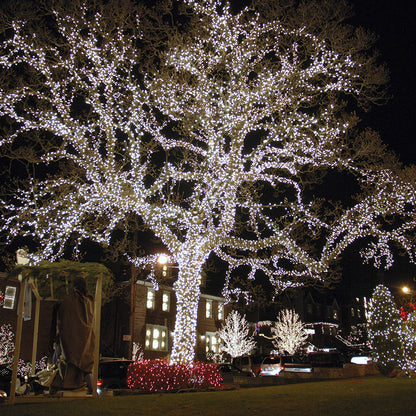 Luz Led Lineal 50 Mts 500 Led Blanca Luces Navidad