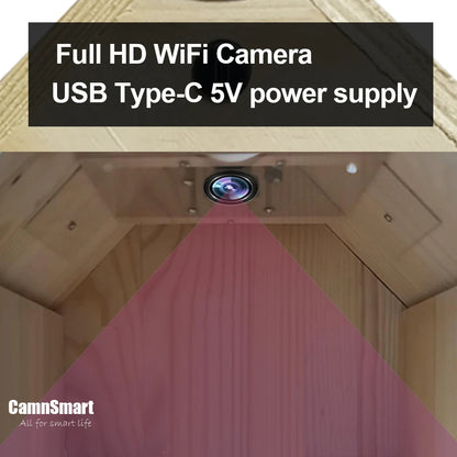 🟡 Nido para pájaros inteligente con cámara WIFI