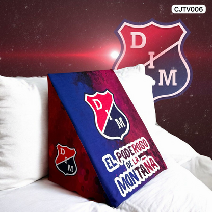 ⚽⚽⚽⚽Cojín TV con Diseños Temáticos ⚽⚽⚽⚽ 2 unidades x ¡$100 mil!