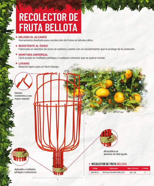 Recolector de Frutas